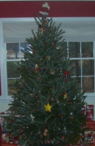 christmas tree 01
